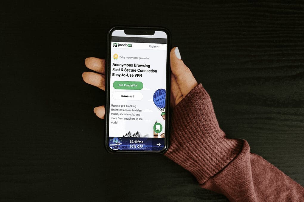 Panda VPN Overview: Streamlined Protection for 2025