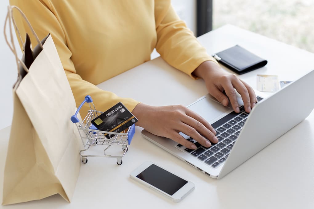 A person is shopping online using a laptop, while a toy shopping cart holding credit cards represents credit freeze, fraud alerts, and identity protection